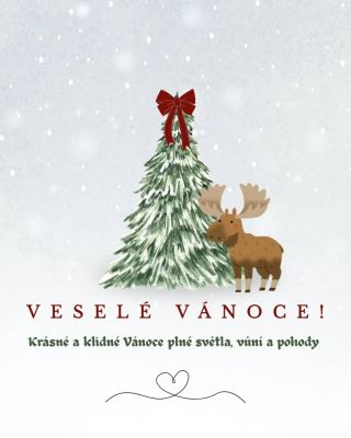 Krásné a klidné Vánoce plné světla, vůní a pohody. ✨ Do nového roku přejeme radost z maličkostí a spoustu hezkých chvil....
